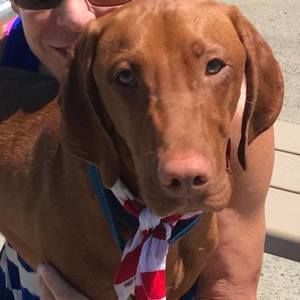 Meet your Posher, Barb